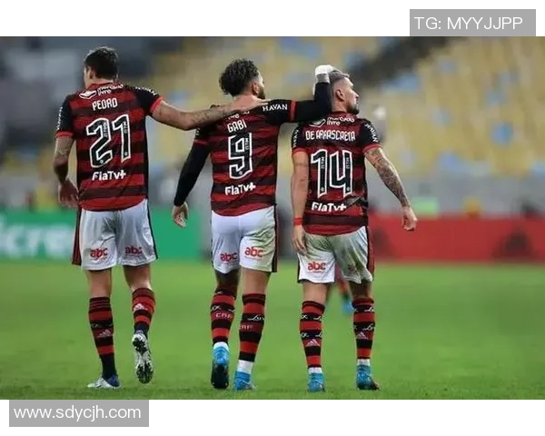 希拉尔与德独立的对决分析及比赛前瞻探讨 希拉尔与德独立的对决分析及比赛前瞻探讨