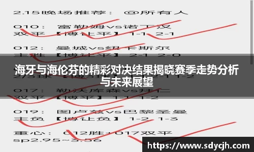 海牙与海伦芬的精彩对决结果揭晓赛季走势分析与未来展望